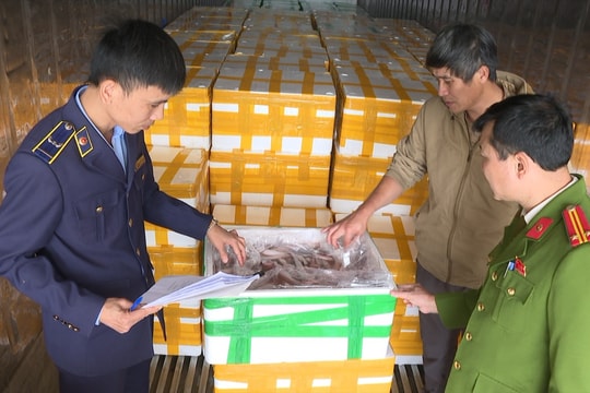 Thanh Hóa: Quyết liệt giải quyết thực phẩm bẩn