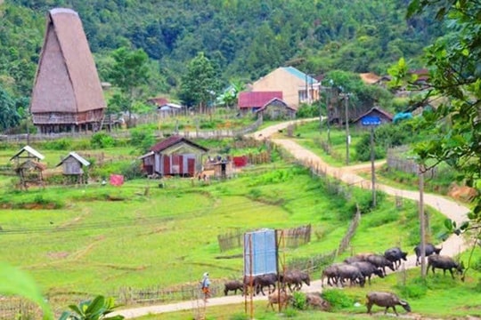 Mùa đẹp nhất ở đại ngàn Măng Đen