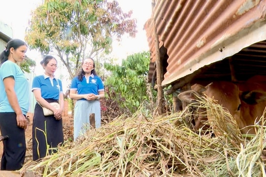 Phụ nữ DTTS tự tin thoát nghèo