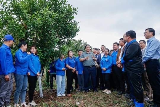 Thủ tướng Phạm Minh Chính: Cần biến núi rừng Tây Bắc trùng điệp thành của cải vật chất