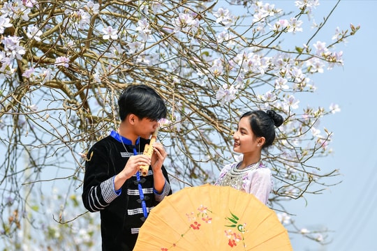 Mùa hoa Ban và nhịp Xuân của núi rừng Tây Bắc