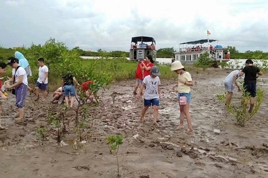 Hơn 464 tỷ đồng phát triển Du lịch sinh thái Vườn quốc gia Xuân Thủy
