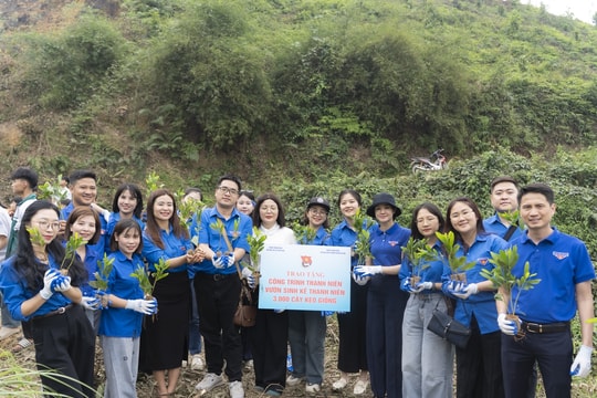 Tuổi trẻ Bộ Dân tộc và Tôn giáo sôi nổi ra quân Tháng Thanh niên năm 2026