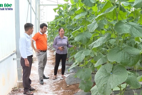 Những đảng viên tiên phong ở vùng cao