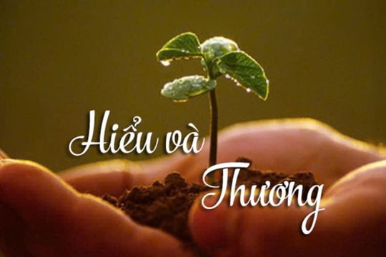 Hiểu và Thương: Nghệ thuật kết nối sâu trong xã hội hiện đại