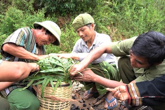 Người Gié Triêng kết thúc năm cũ, đón năm mới bằng Lễ ăn than