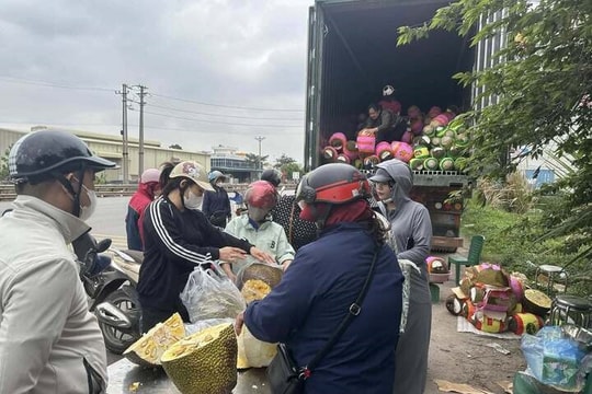 Nông dân Tây Nam Bộ "ngồi trên lửa" khi giá nông sản lao dốc