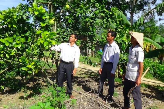 Khánh Hòa: Rà soát hộ nghèo để xây dựng Đề án hỗ trợ sinh kế
