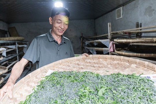 Làm giàu với nghề "Ăn cơm đứng"