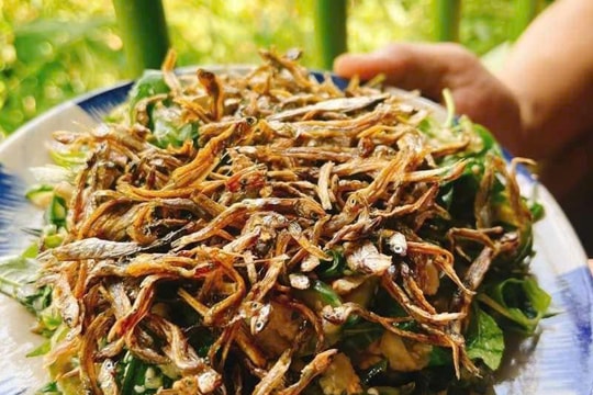 Gỏi cà đắng - món ăn của đại ngàn và cách người Tây Nguyên giữ trọn vị tự nhiên