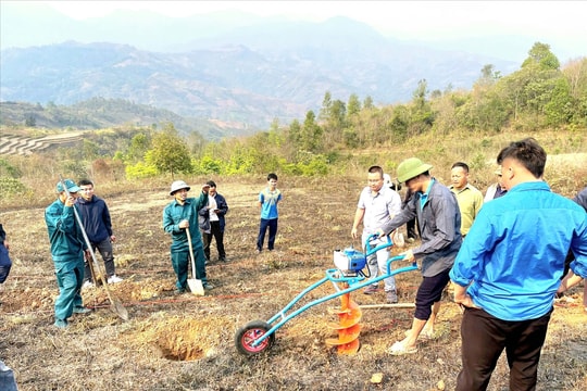 Điện Biên: Khoảng 14.000 người tham gia đào hố trồng cây cà phê, mắc ca
