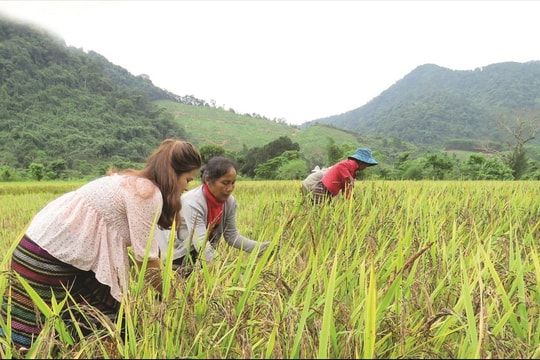 Từ hỗ trợ sang trao quyền - Lối đi căn cơ cho giảm nghèo bền vững