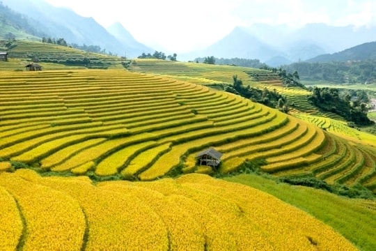 Sa Pa lọt Top thị trấn nhỏ đẹp nhất thế giới 2026: Niềm tự hào mới của du lịch Việt Nam