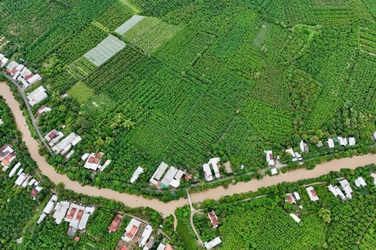 An Giang: Cù lao bao quanh là nước ngọt được công nhận là xã đảo