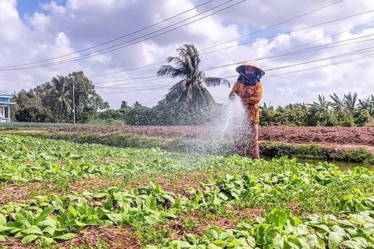 Đồng bào Khmer thêm một mùa Tết Chôl Chnăm Thmây khởi sắc