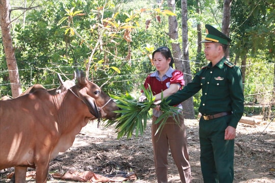 Quảng Ngãi: Khi bộ đội trở thành "người nhà" của hộ đồng bào DTTS nghèo