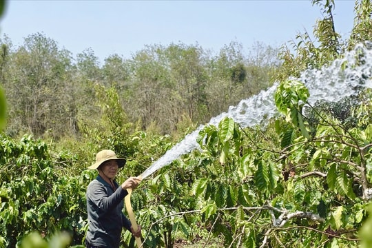 Nông dân Gia Lai tìm nhiều cách để  tiết kiệm nhiên liệu sản xuất