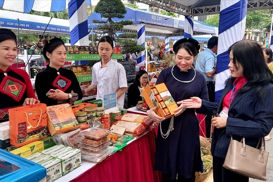 Tiếp sức đủ lực để phụ nữ DTTS khởi nghiệp đường dài