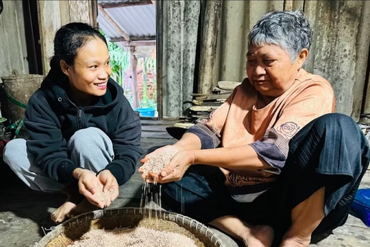 Đồng bào Chăm, Ba Na giữ sinh kế cha ông để lại từ  “hạt ngọc trời”
