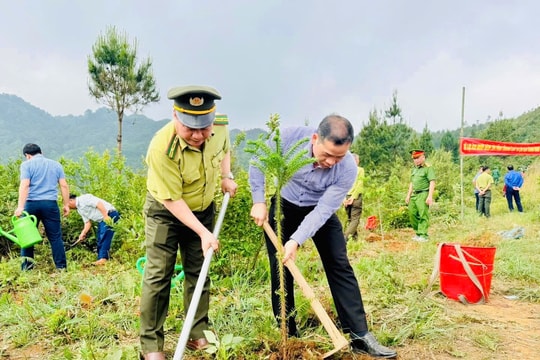 Dựng “vành đai xanh”, giữ vững phên giậu Tổ quốc