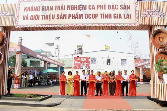 Trải nghiệm, khám phá trọn vẹn giá trị của hạt cà phê Gia Lai