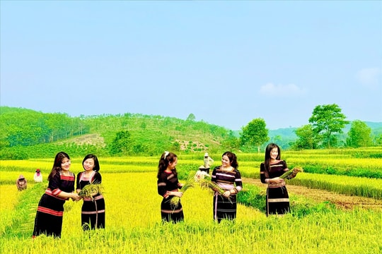 Vùng cao Quảng Ngãi sẵn sàng chào đón du khách trong kỳ nghỉ lễ 30/4 - 1/5