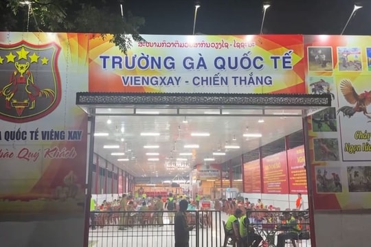 Thanh Hóa triệt phá “trường gà quốc tế Viêng Xay”, giao dịch hơn 1.200 tỷ đồng