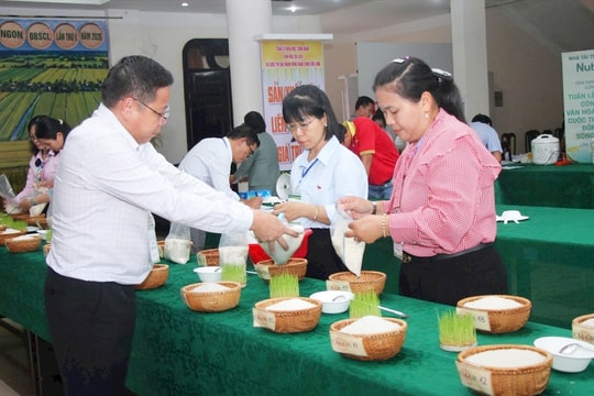 Cà Mau: Khai mạc cuộc thi gạo ngon vùng Đồng bằng sông Cửu Long