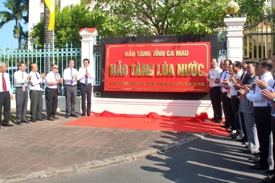 Cà Mau công bố thành lập Bảo tàng Lúa nước