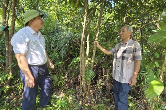 Khi cán bộ cơ sở “đi trước, làm cùng”