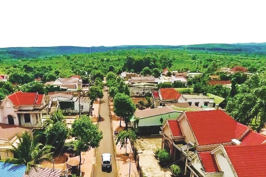 Một dòng họ - Một khát vọng