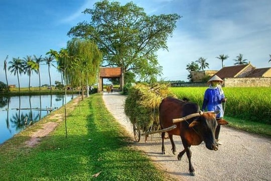 Điều kiện công nhận xã đạt chuẩn nông thôn mới, nông thôn mới hiện đại giai đoạn 2026 - 2030