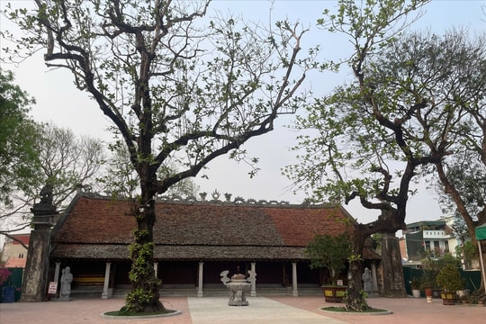 Vướng giải phóng mặt bằng, dự án Thái miếu nhà Hậu Lê gần 10 năm vẫn chưa về đích