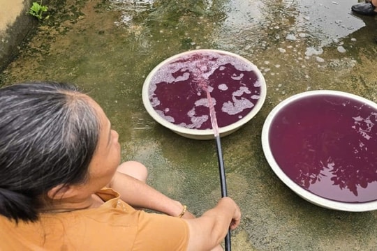 Thanh Hóa: Làm rõ vụ nước giếng khoan đổi màu tím, bốc mùi hôi thối