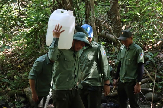 Thiếu nước, nhân viên bảo vệ rừng ở Quảng Ngãi phải lấy nước suối về sinh hoạt