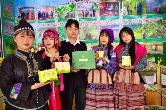 Học sinh vùng cao đạt giải Ba Cuộc thi ý tưởng khởi nghiệp