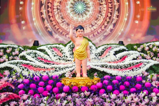Đại lễ Phật đản 2026: Mùa trở về với bình an