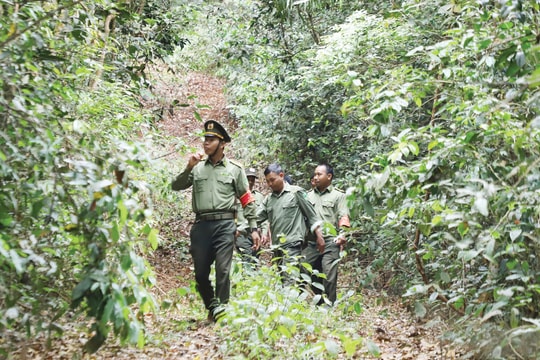 Đồng bào Mnông “ăn lán, giữ rừng”