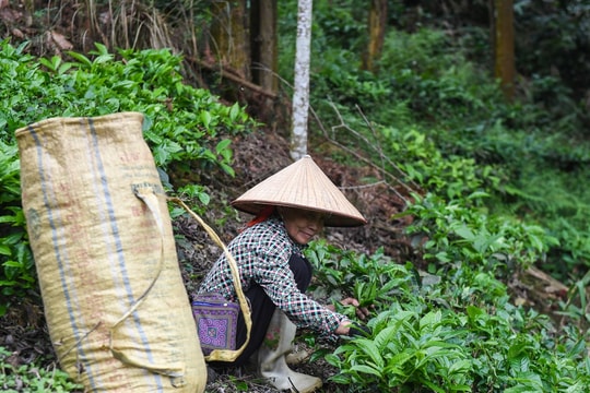 Chính sách dân tộc và phép thử tư duy từ 'hỗ trợ' sang 'kiến tạo'