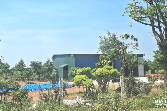 Quảng Trị: Hơn 7 ha đất rừng do Nhà nước quản lý bị chiếm dụng