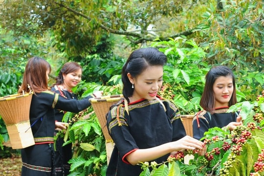 Ông Ksor Phước: Từ những 'làng 6 không', bà con nay đã biết làm kinh tế hàng hóa