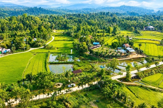Làng cổ đẹp như tranh vẽ giữa lòng miền Trung