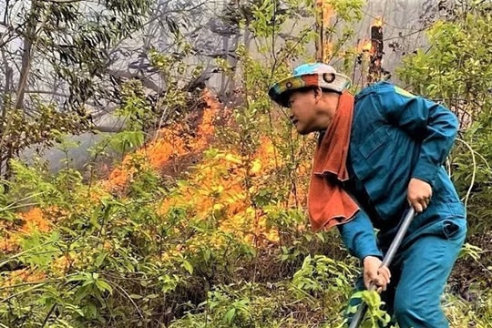 Rừng Nghệ An nguy cơ cháy ở cấp nguy hiểm