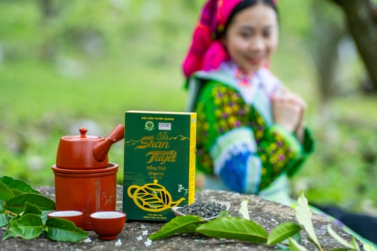 OCOP Tuyên Quang: Mở hướng kinh tế nông thôn bền vững