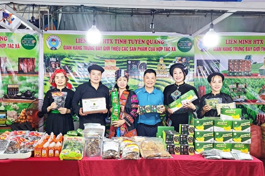Tuyên Quang: Hợp tác xã tạo sức bật cho kinh tế nông thôn