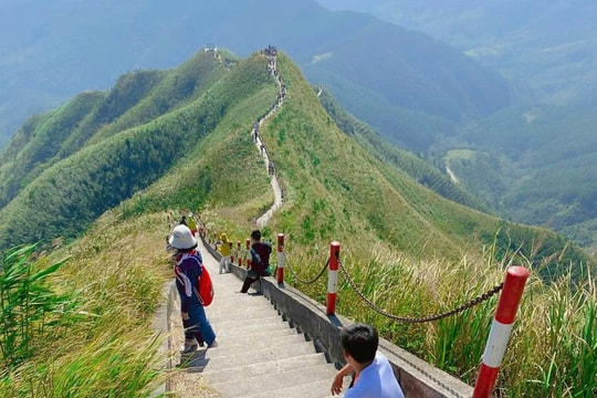 Săn mây trên đỉnh núi, khám phá những rừng hồi nơi vùng biên Quảng Ninh