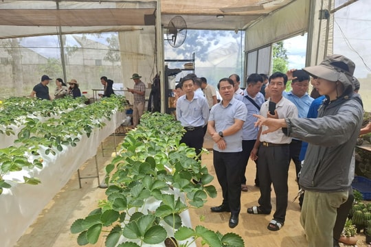 Ghi nhận về đội ngũ những Người có uy tín ở Tuyên Quang