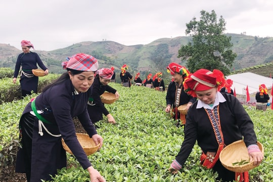 Hiện thực hóa chính sách dân tộc - nhìn từ Lào Cai