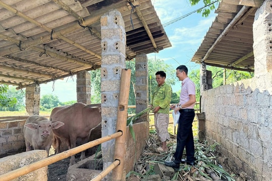 Những mùa "quả ngọt" từ tín dụng chính sách ở Tân Lạc