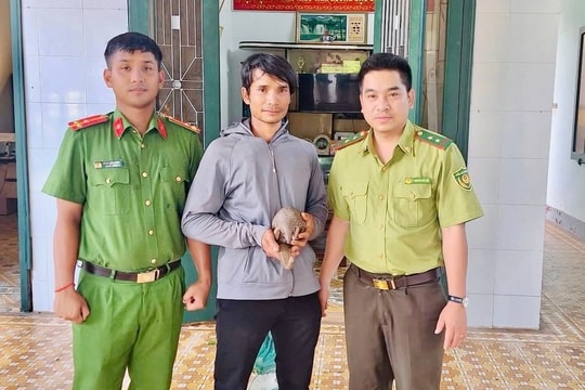 Người đàn ông Bru Vân Kiều tự nguyện giao nộp 1 cá thể tê tê quý hiếm